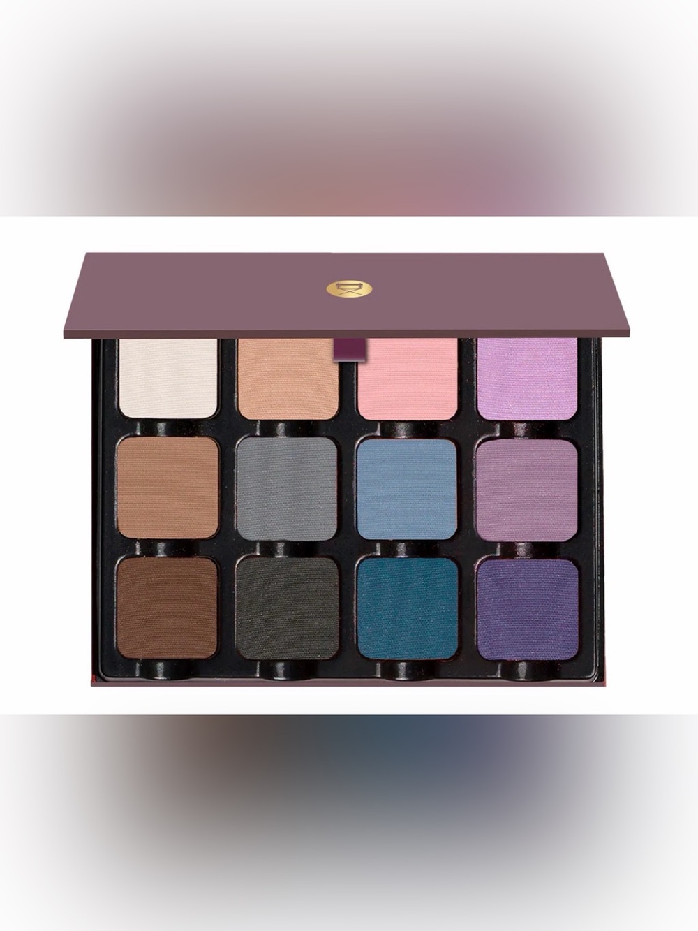 Viseart Petites Mattes COOL 12 Shade Professional Pigment Palette